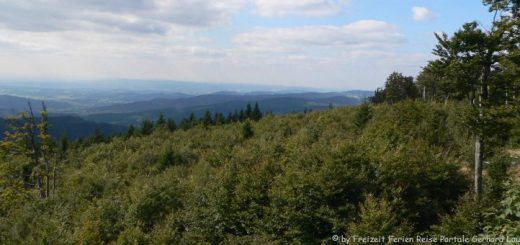 achslach-hirschenstein-bayerischer-wald-panorama-660