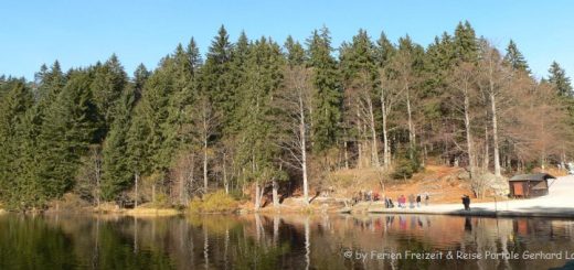 arbersee-grosser-rundwanderweg-panorama-660
