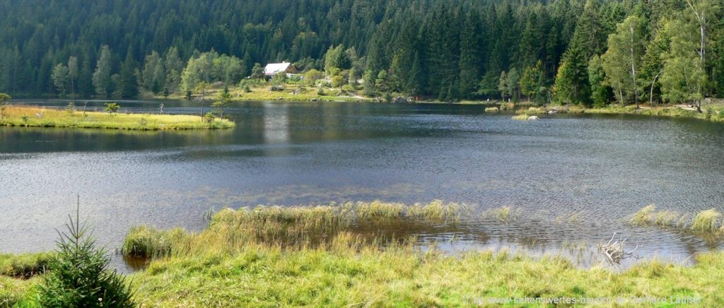 arbersee-kleiner-rundwanderweg-schwimmende-inseln-ausflugsziele