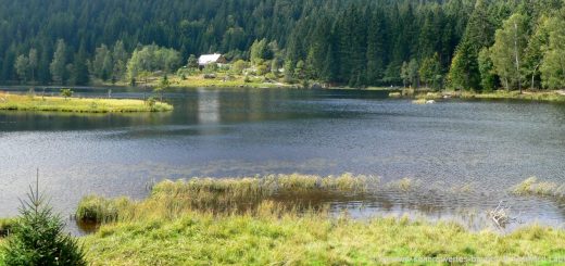 arbersee-kleiner-rundwanderweg-schwimmende-inseln-ausflugsziele
