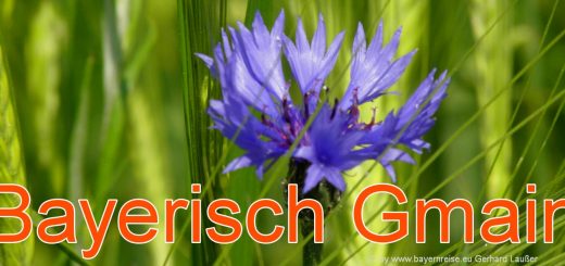 bayerisch-gmain-ausflugsziele-sehenswuerdigkeiten-freizeitangebote