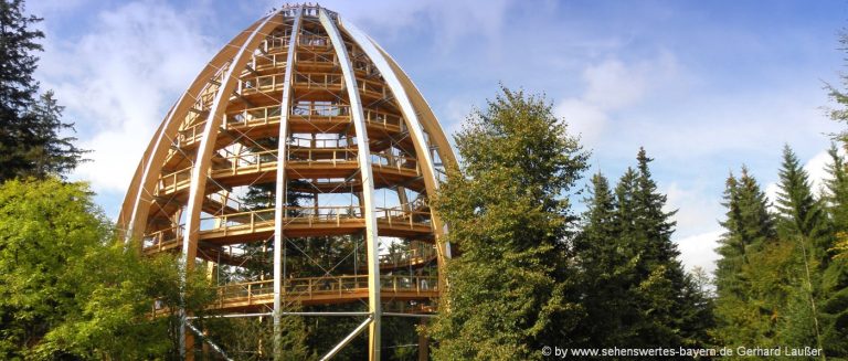 sehenswürdigkeiten-bayerischer-wald-ausflugsziele-waldwipfelpfad-highlights