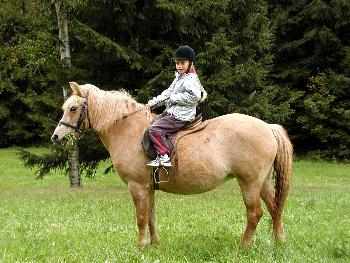 Ferien auf dem Reiterhof Reiten im Urlaub Ferien auf dem Reiterhof Reiten im Urlaub