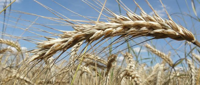 Bayern Bierhotel Bayerischer Wald