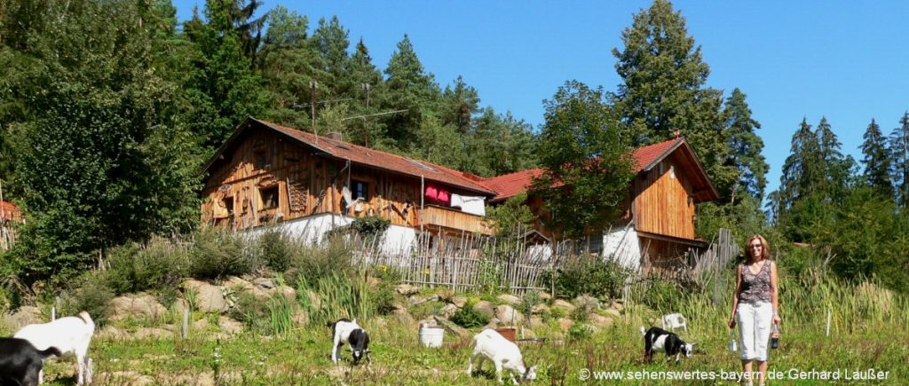 ruhiger Bergbauernhof als Unterkunft Unterkünfte am Ortsrand bieten mehr Ruhe