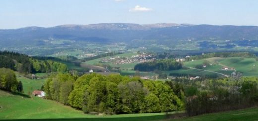 breitenberg-wandern-aussicht-bayerischer-wald-landschaft-huegel-panorama-660