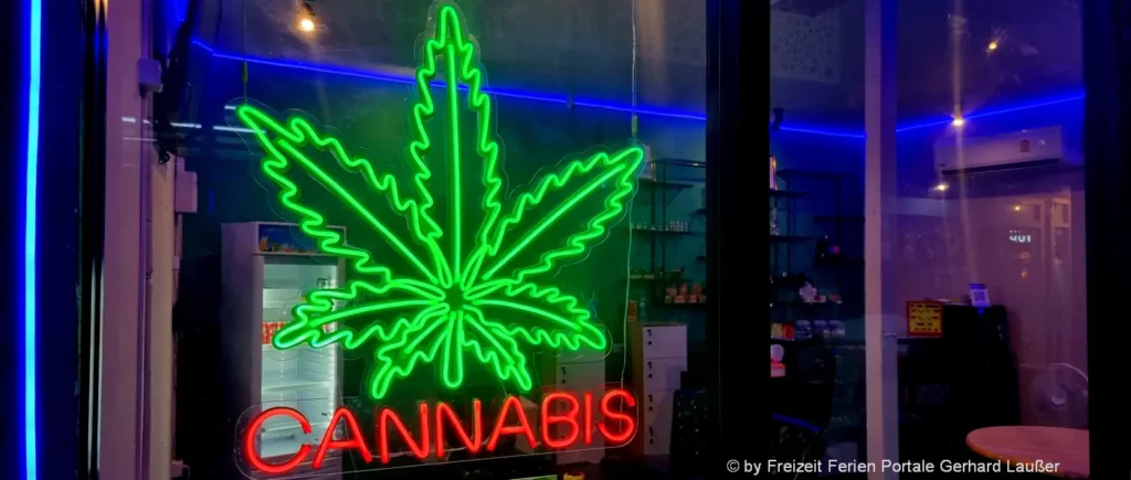 Cannabispflanzen in Deutschland erlaubt Hanf zu Hause anbauen