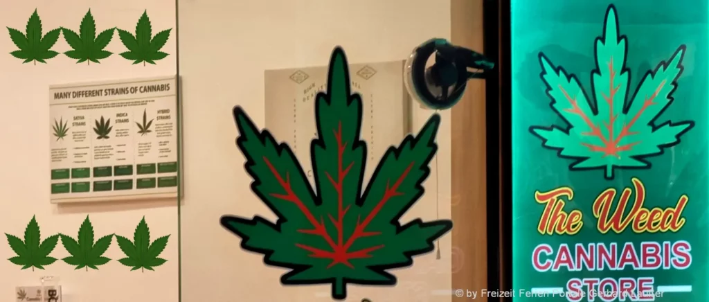 CBD Produkte fördern die Erholung nach einer Wanderung in Bayern