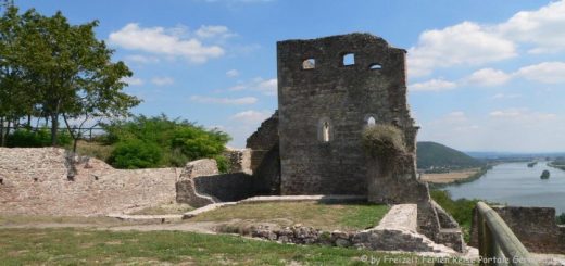 donaustauf-burgruine-donautal-regensburg-panorama-660
