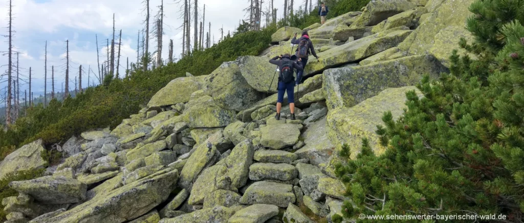 Freizeit Aktivitäten Dreiländereck Wanderung Dreisessel zum Steinernen Meer 