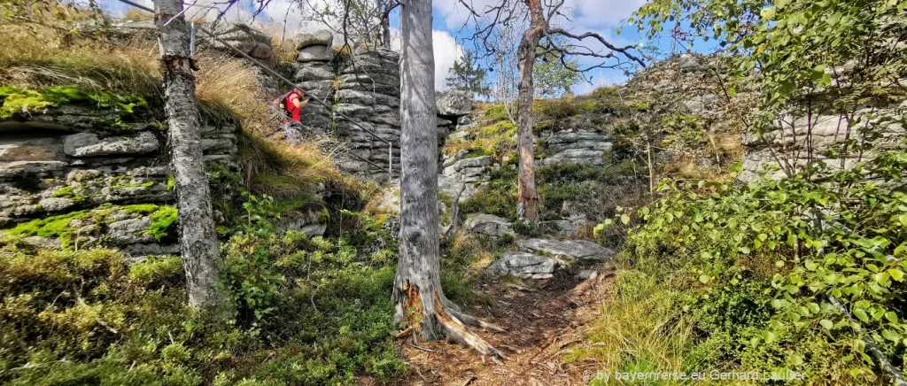 Wandern am Steinwald Rundweg im Oberpfälzer Wald