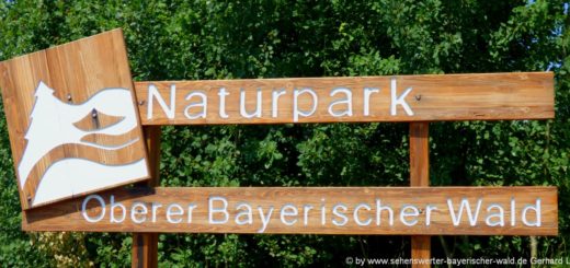 ferienregionen-bayern-reiseziele-naturpark-oberer-bayerischer-wald