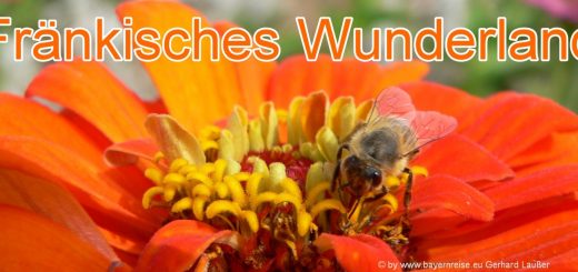 fränkisches-wunderland-plech-freizeitpark-bayern-tagesausflug