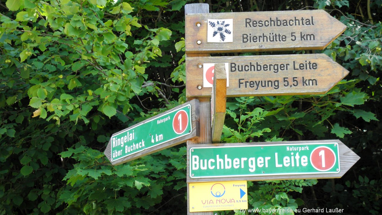 freyung-wildbachklamm-buchberger-leite-wanderwege-hinweisschilder-bayerischer-wald-wegweiser-1300