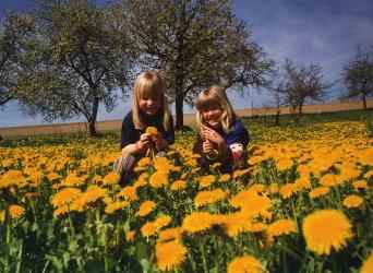 Campingurlaub und Outdoorurlaub