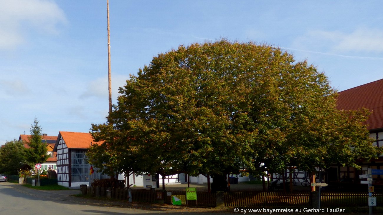 hetzles-sehenswertes-franken-tanzlinde-hauptstrasse-1300