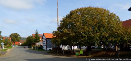 ausflugsziele-hetzles-sehenswürdigkeiten-tanzlinde-fränkische-schweiz