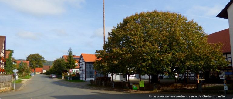 ausflugsziele-hetzles-sehenswürdigkeiten-tanzlinde-fränkische-schweiz
