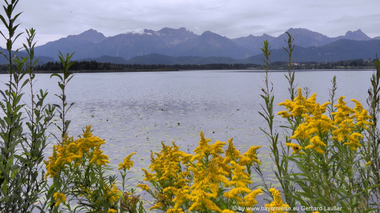 hopfen-am-see-ausflugstipps-hopfensee-panorama-blick-berge-1300