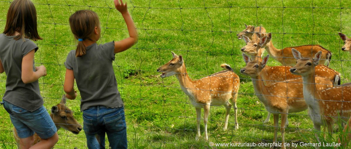 Erlebnisbauernhof in der Oberpfalz Familienbauernhöfe in Bayern