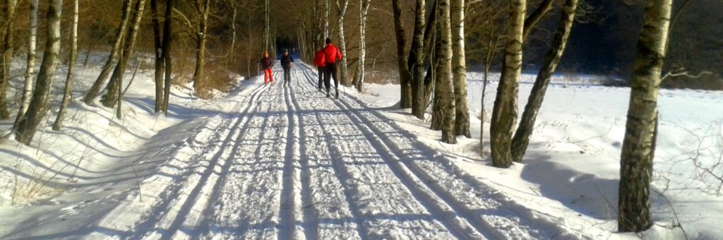 Langlaufurlaub in Bayern - Langlaufloipe für den nordischen Skisport