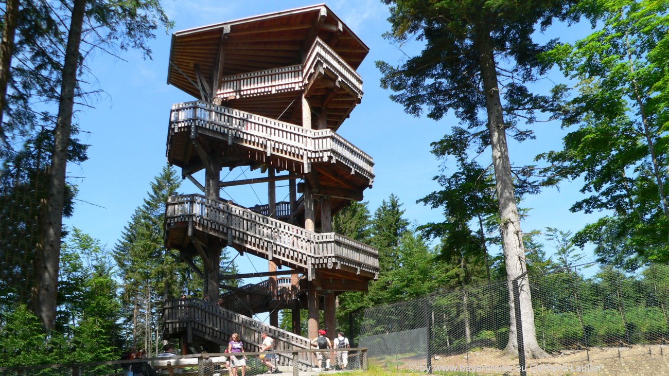 Haus Der Wildnis Bayerischer Wald