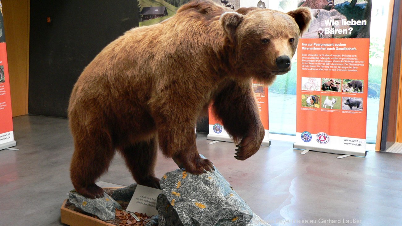 Tierpark Bayerischer Wald Haus Zur Wildnis Tierfreigehege Ludwigsthal