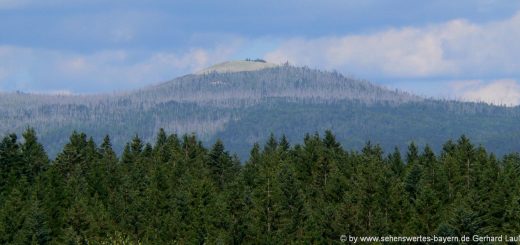 lusen-bayerischer-wald-berg-wanderungen-ausflugsziele