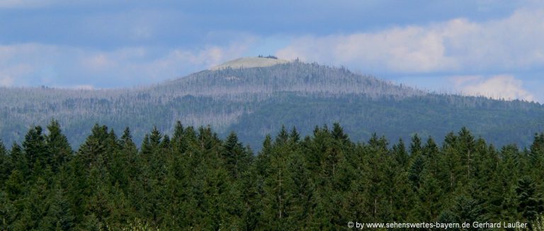 lusen-bayerischer-wald-berg-wanderungen-ausflugsziele
