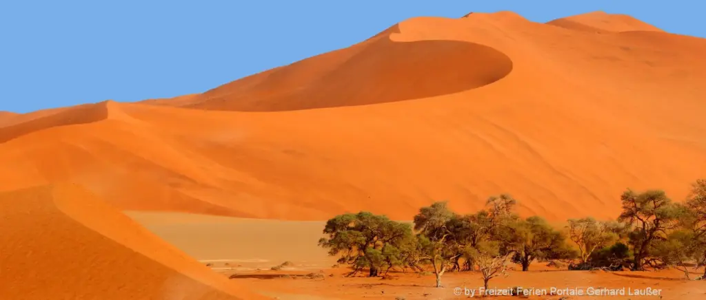 Wüstensafari in Afrika Wüstentour mit Sand und Sonne