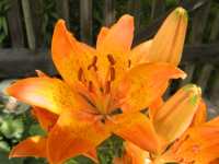 Sehenswürdigkeiten in Bad Kissingen Sehenswürdigkeiten in Bad Kissingen