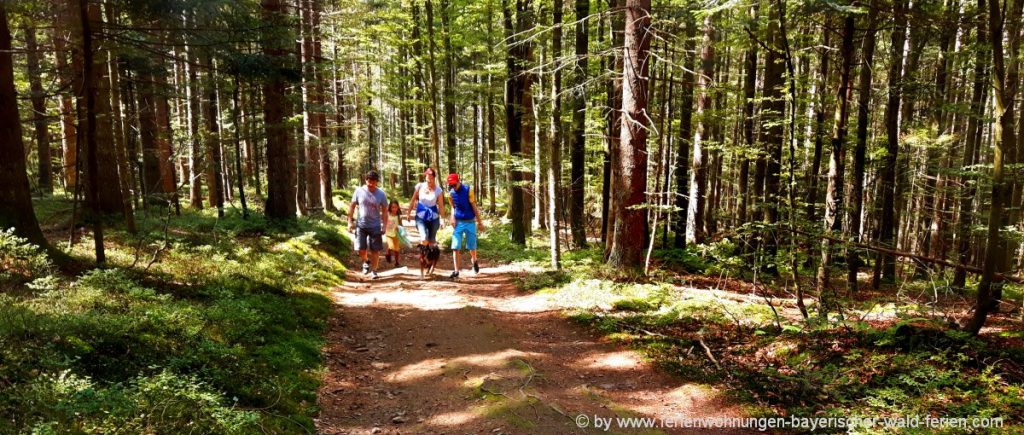 Natururlaub Bayerischer Wald - Wandern in Bayern Natururlaub Bayerischer Wald Wanderhotels in Deutschland