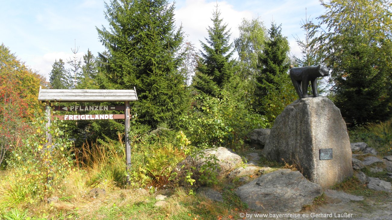 neuschoenau-hans-eisenmann-haus-nationalpark-infozentrum-tierfreigehege-1300