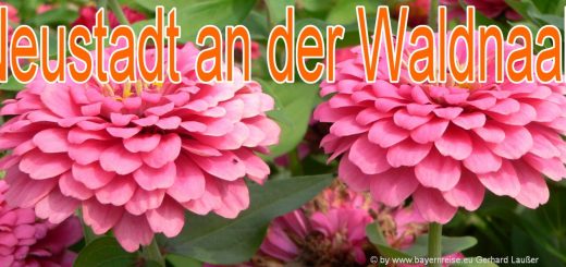 neustadt-waldnaab-sehenswürdigkeiten-oberpfalz-ausflugsziele