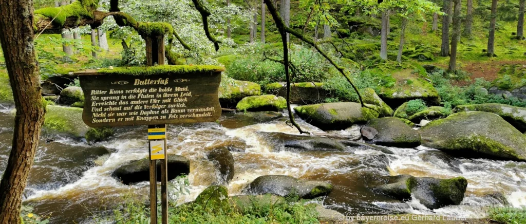 Wandertouren Oberpfälzer Wald - Wanderweg Goldsteig im Waldnaabtal