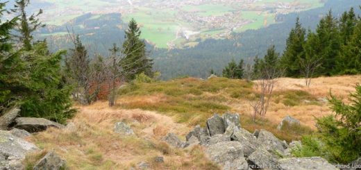 osser-wandern-bayerischer-wald-gipfelblick-panorama-660