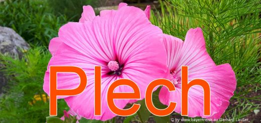 plech-ausflugsziele-fränkische-schweiz-sehenswürdigkeiten