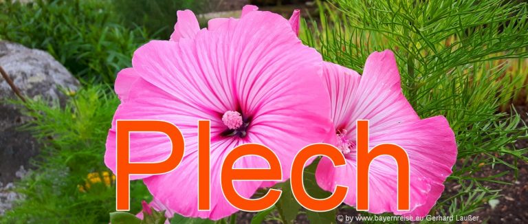 plech-ausflugsziele-fränkische-schweiz-sehenswürdigkeiten