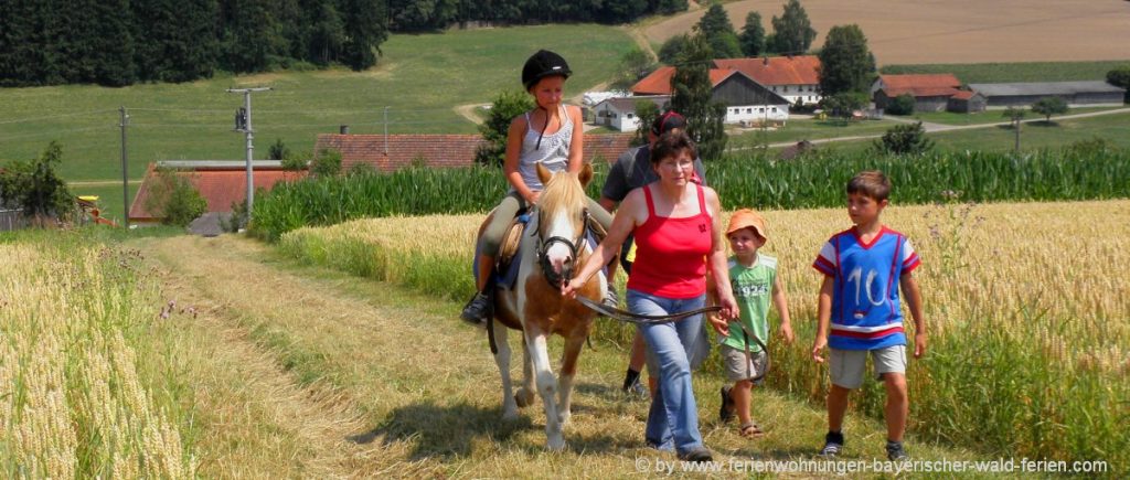 Reiterferien in der Oberpfalz & Niederbayern Bauernhof Reiturlaub 
