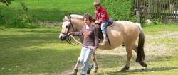 Reiturlaub in Bayern Ferien am Ponyhof mit Reitunterricht Reiturlaub in Bayern Ferien am Ponyhof mit Reitunterricht