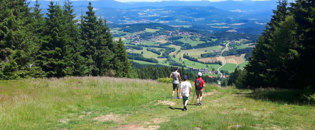 Bayerischer Wald Wandern im Sommerurlaub Bayerischer Wald Sommerrurlaub mit Wandern, schwimmen Radfahren,...