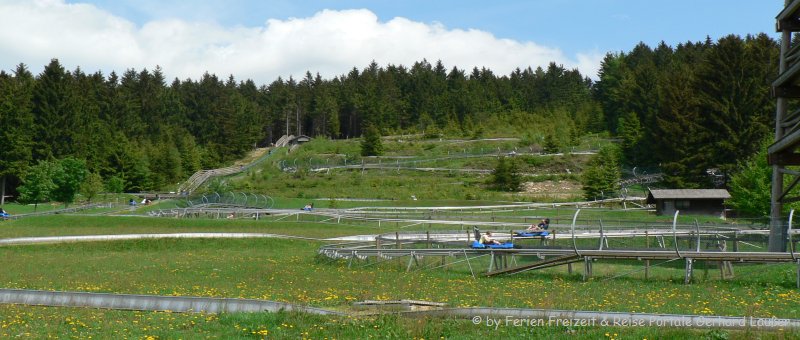 Bild der Bayerischer Wald Sommerrodelbahn in Sankt Englmar Bild der Bayerischer Wald Sommerrodelbahn in Sankt Englmar