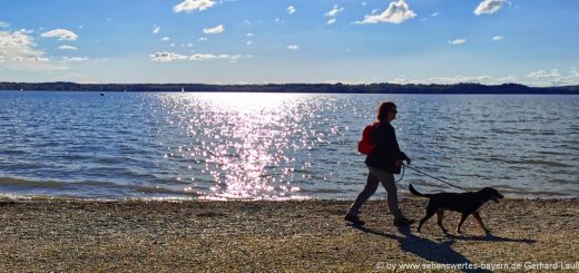starnberger-see-sehenswürdigkeiten-strand-hunde-spaziergang