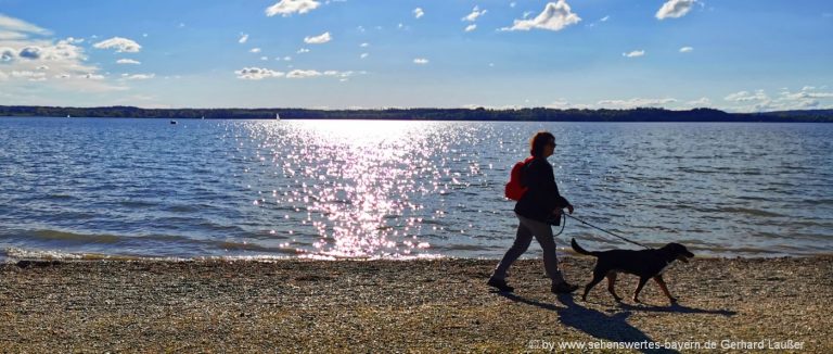starnberger-see-sehenswürdigkeiten-strand-hunde-spaziergang