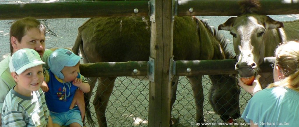 Tiergarten in Straubing Tierpark Bayern Ausflugsziele Straubinger Zoo