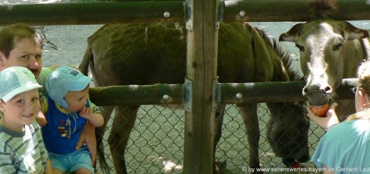straubing-tierpark-niederbayern-freizeitangebote-tiergarten-zoo