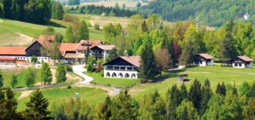 urlaub-mit-hund-ferienwohnungen-bayerischer-wald-gut-feuerschwendt-660