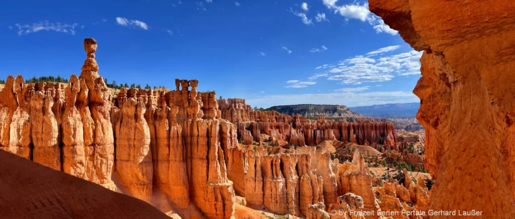 Leitfaden für Flüge in die USA - Reise planen Checkliste & Tipps 