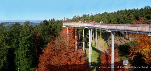 wald-wipfel-pfad-bayern-lehrpfad-aussichtspunkt-panorama-660