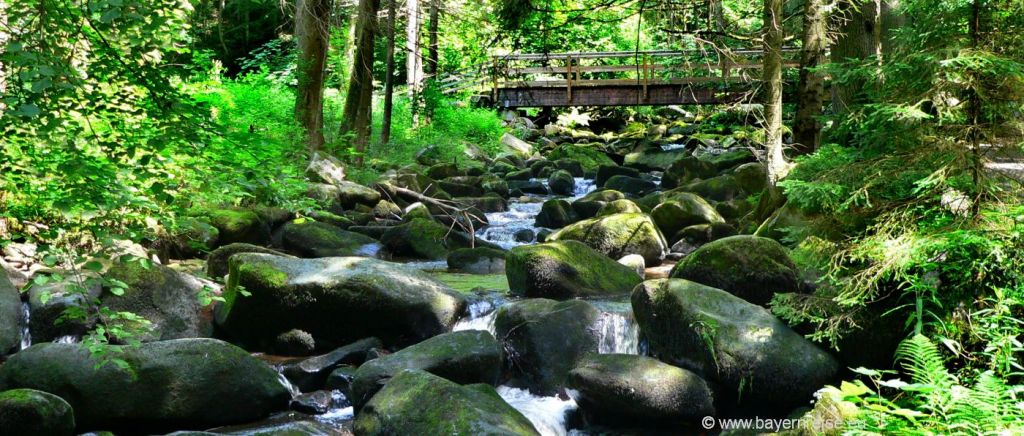 Bayerischer Wald Ausflugsziele Saußbachklamm Waldkirchen Bayerischer Wald Wandern Saussbachklamm Waldkirchen
